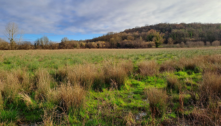 Découverte naturaliste de la vallée de la Charreau
